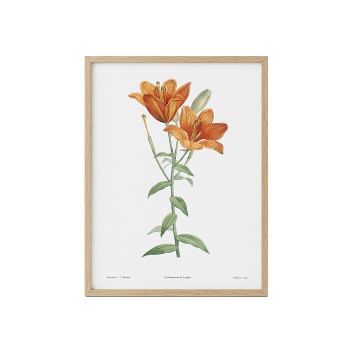 Bloom & Wall Canvas