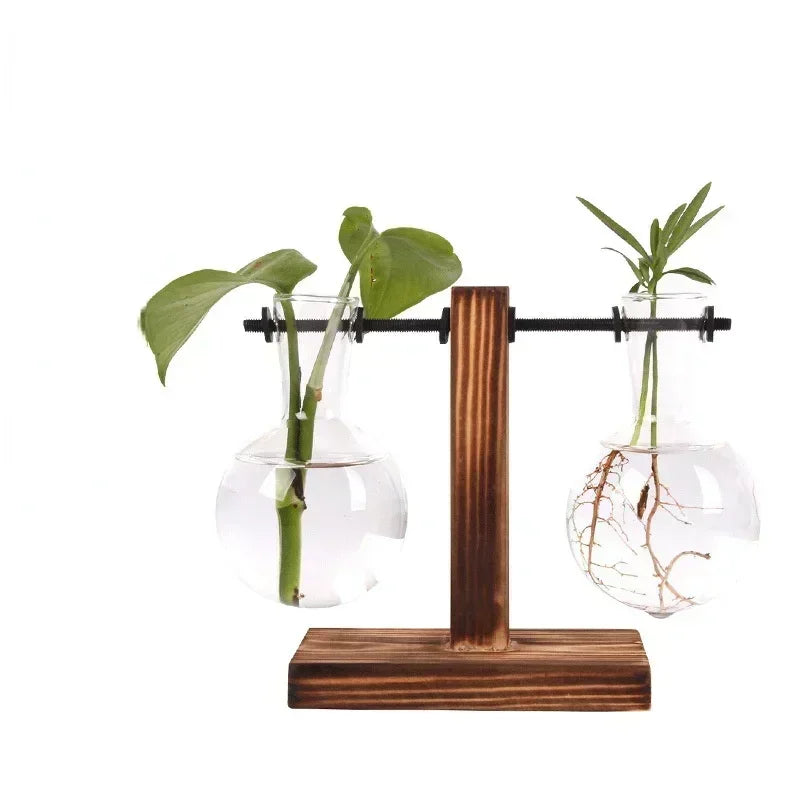 Mini Bulb Glass Terrarium with Wooden Stand