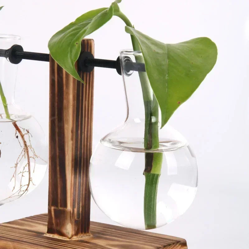 Mini Bulb Glass Terrarium with Wooden Stand