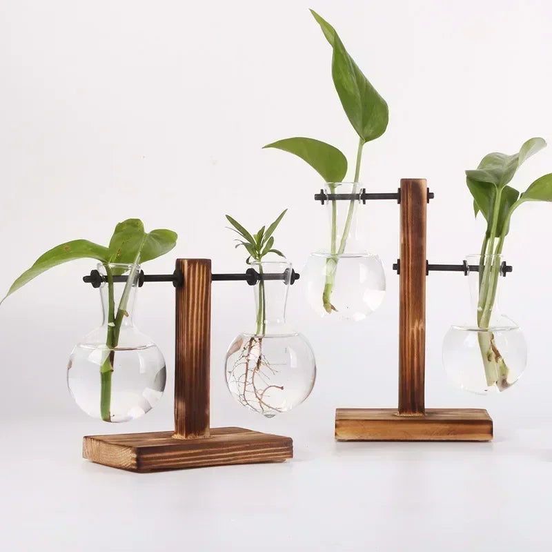 Mini Bulb Glass Terrarium with Wooden Stand