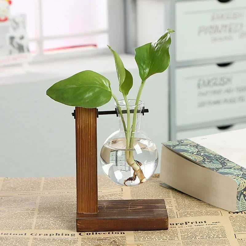 Mini Bulb Glass Terrarium with Wooden Stand