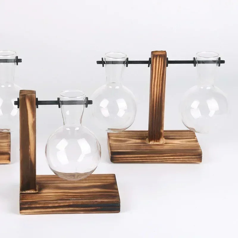 Mini Bulb Glass Terrarium with Wooden Stand