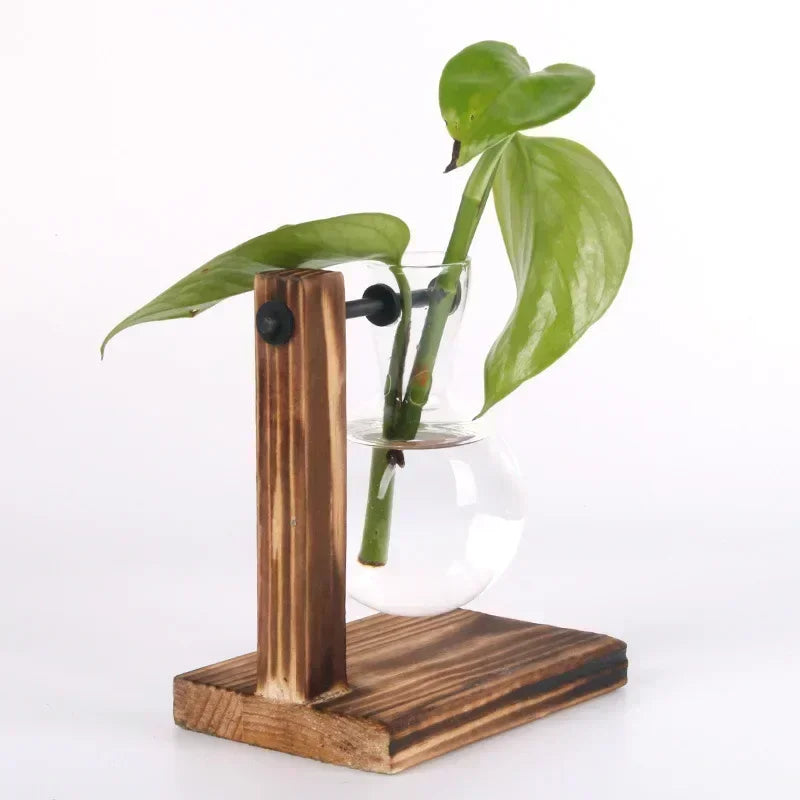 Mini Bulb Glass Terrarium with Wooden Stand