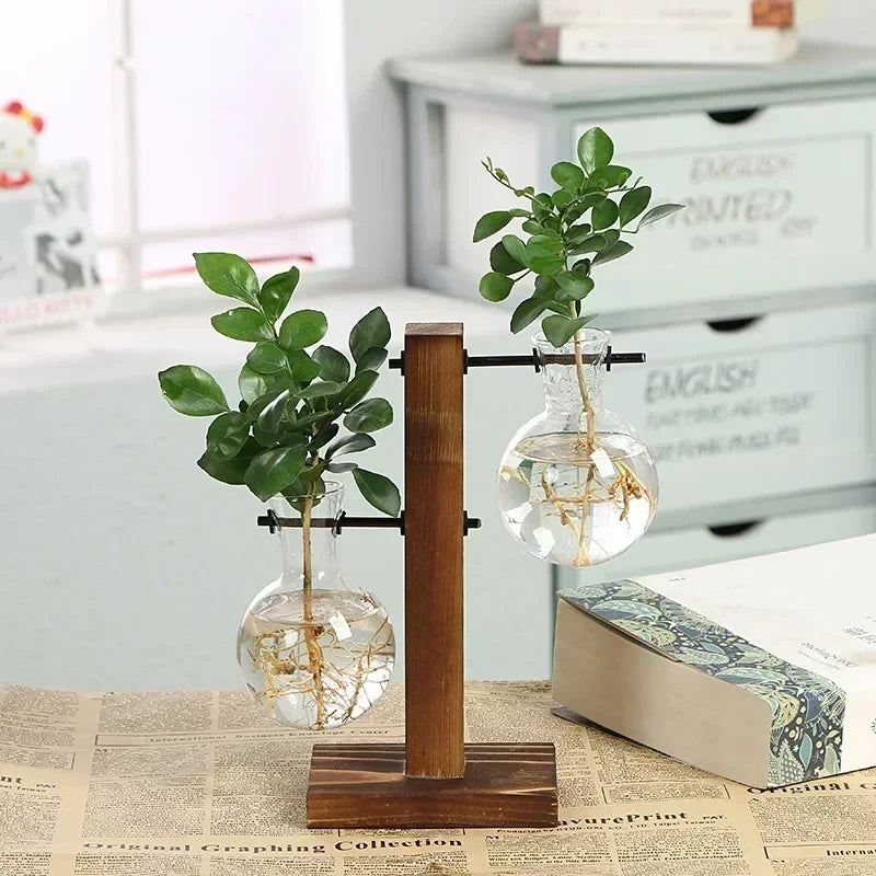 Mini Bulb Glass Terrarium with Wooden Stand