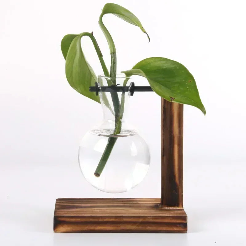 Mini Bulb Glass Terrarium with Wooden Stand