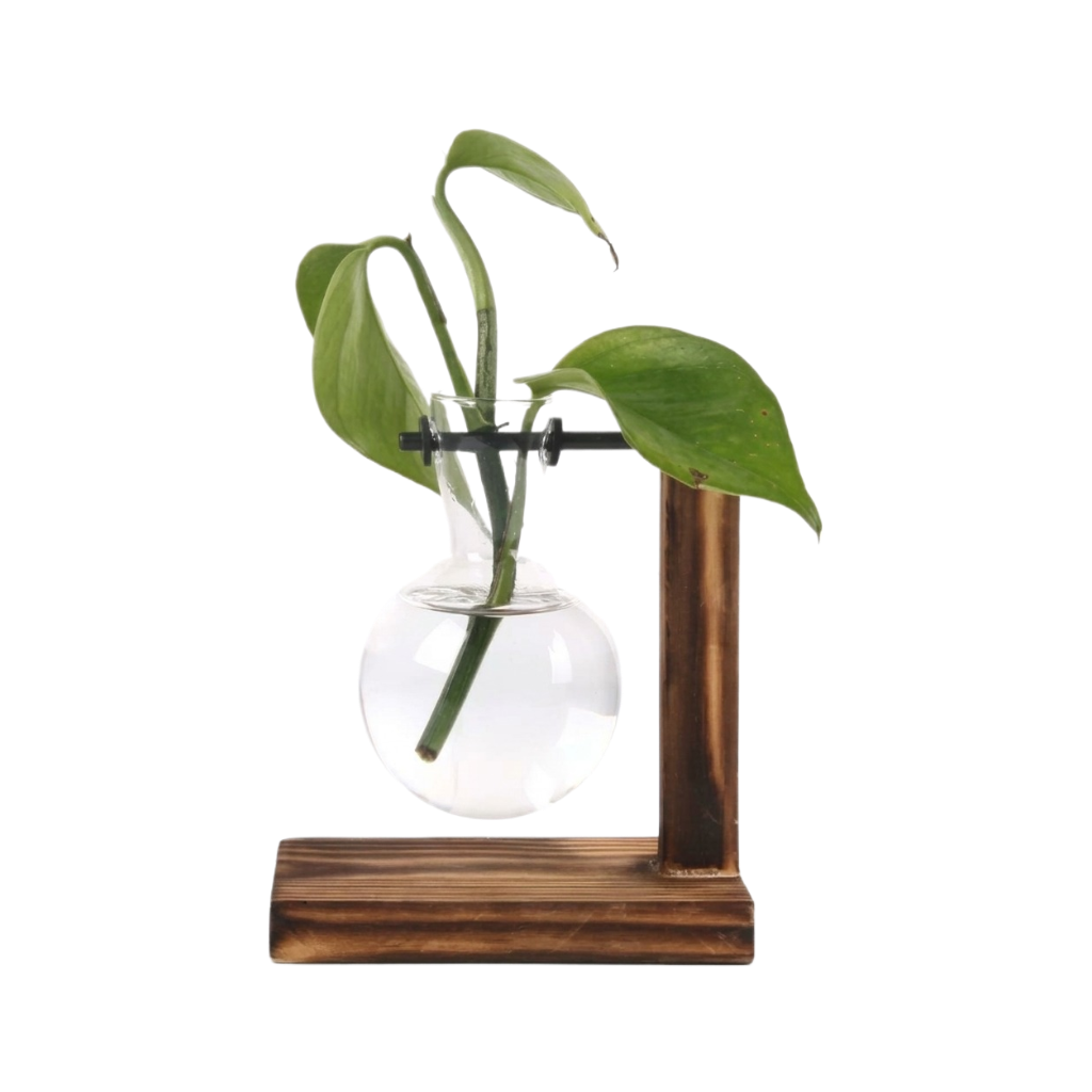 Mini Bulb Glass Terrarium with Wooden Stand