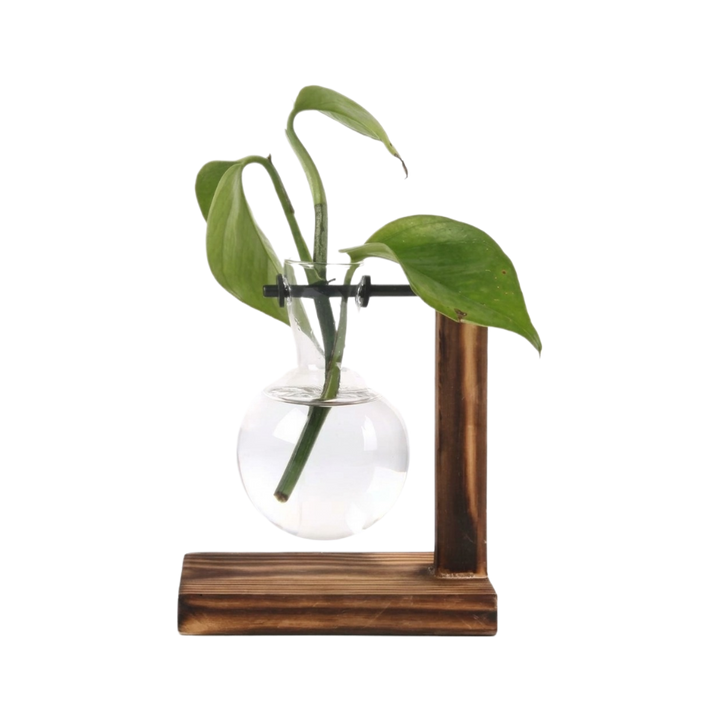Mini Bulb Glass Terrarium with Wooden Stand